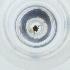  ( - MOZZ00000866A_E10)  @11 [ ] by (2004) Genome Research Ltd as Wellcome Sanger Institute Genome Research Limited operating as Wellcome Sanger Institute