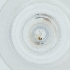  (Anisostephus - MOZZ00000867A_G8)  @11 [ ] by (2004) Genome Research Ltd as Wellcome Sanger Institute Genome Research Limited operating as Wellcome Sanger Institute