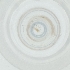  ( - MOZZ00000868A_D5)  @11 [ ] by (2004) Genome Research Ltd as Wellcome Sanger Institute Genome Research Limited operating as Wellcome Sanger Institute