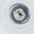  ( - MOZZ00000873A_F7)  @11 [ ] by (2004) Genome Research Ltd as Wellcome Sanger Institute Genome Research Limited operating as Wellcome Sanger Institute