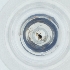  ( - MOZZ00000874A_D5)  @11 [ ] by (2004) Genome Research Ltd as Wellcome Sanger Institute Genome Research Limited operating as Wellcome Sanger Institute
