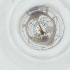  ( - MOZZ00000877A_F8)  @11 [ ] by (2004) Genome Research Ltd as Wellcome Sanger Institute Genome Research Limited operating as Wellcome Sanger Institute