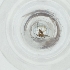  ( - MOZZ00000878A_E6)  @11 [ ] by (2004) Genome Research Ltd as Wellcome Sanger Institute Genome Research Limited operating as Wellcome Sanger Institute