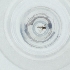  ( - MOZZ00000883A_C6)  @11 [ ] by (2004) Genome Research Ltd as Wellcome Sanger Institute Genome Research Limited operating as Wellcome Sanger Institute