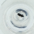  ( - MOZZ00000886A_D1)  @11 [ ] by (2004) Genome Research Ltd as Wellcome Sanger Institute Genome Research Limited operating as Wellcome Sanger Institute
