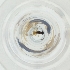  ( - SHAP_002_D3)  @11 [ ] by (2004) Genome Research Ltd as Wellcome Sanger Institute Genome Research Limited operating as Wellcome Sanger Institute