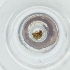  ( - SHAP_002_G1)  @11 [ ] by (2004) Genome Research Ltd as Wellcome Sanger Institute Genome Research Limited operating as Wellcome Sanger Institute