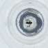  ( - SHAP_004_D11)  @11 [ ] by  Genome Research Ltd as Wellcome Sanger Institute Genome Research Limited operating as Wellcome Sanger Institute