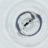  ( - SHAP_005_G2)  @11 [ ] by  Genome Research Ltd as Wellcome Sanger Institute Genome Research Limited operating as Wellcome Sanger Institute