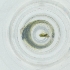  ( - SHAP_009_G5)  @11 [ ] by  Genome Research Ltd as Wellcome Sanger Institute Genome Research Limited operating as Wellcome Sanger Institute
