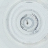  ( - SHAP_014_H9)  @11 [ ] by  Genome Research Ltd as Wellcome Sanger Institute Genome Research Limited operating as Wellcome Sanger Institute