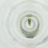  ( - SHAP_019_B6)  @11 [ ] by  Genome Research Ltd as Wellcome Sanger Institute Genome Research Limited operating as Wellcome Sanger Institute