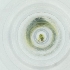  ( - SHAP_021_C2)  @11 [ ] by  Genome Research Ltd as Wellcome Sanger Institute Genome Research Limited operating as Wellcome Sanger Institute