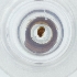 ( - SHAP_031_A10)  @11 [ ] by (2004) Genome Research Ltd as Wellcome Sanger Institute Genome Research Limited operating as Wellcome Sanger Institute