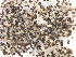  ( - SHPM77)  @11 [ ] © Copyright Government of Canada (2016) Unspecified Agriculture and Agri-Food Canada