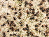  ( - SHPM177)  @11 [ ] © Copyright Government of Canada (2016) Unspecified Agriculture and Agri-Food Canada