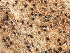  ( - SHPM212)  @11 [ ] © Copyright Government of Canada (2016) Unspecified Agriculture and Agri-Food Canada