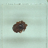  ( - NMNH-2022-031-C03)  @11 [ ] No Rights Reserved (2022) Yvonne Linton Smithsonian Institution National Museum of Natural History
