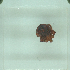 ( - NMNH-2022-031-G11)  @11 [ ] No Rights Reserved (2022) Yvonne Linton Smithsonian Institution National Museum of Natural History