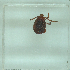  ( - NMNH-2022-032-H01)  @11 [ ] No Rights Reserved (2022) Yvonne Linton Smithsonian Institution National Museum of Natural History