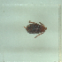  ( - NMNH-2022-035-B09)  @11 [ ] No Rights Reserved (2022) Yvonne Linton Smithsonian Institution National Museum of Natural History
