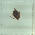  ( - NMNH-2022-035-C09)  @11 [ ] No Rights Reserved (2022) Yvonne Linton Smithsonian Institution National Museum of Natural History