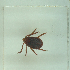  ( - NMNH-2022-035-D10)  @11 [ ] No Rights Reserved (2022) Yvonne Linton Smithsonian Institution National Museum of Natural History