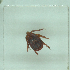  ( - NMNH-2022-035-D12)  @11 [ ] No Rights Reserved (2022) Yvonne Linton Smithsonian Institution National Museum of Natural History