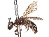  (Protandrena virginicus - CCDB-37883-F07)  @11 [ ] CreativeCommons - Attribution Share - Alike (2024) CBG Photography Group Centre for Biodiversity Genomics