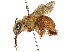  ( - CCDB-37883-H05)  @11 [ ] CreativeCommons - Attribution Share - Alike (2024) CBG Photography Group Centre for Biodiversity Genomics