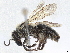  ( - CCDB-37885-A01)  @11 [ ] CreativeCommons - Attribution (2023) CBG Photography Group Centre for Biodiversity Genomics