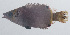  ( - PIL-175)  @11 [ ] CreativeCommons  Attribution Non-Commercial (by-nc) (2014) Unspecified Smithsonian Institution National Museum of Natural History
