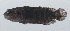  ( - PIL-187)  @11 [ ] CreativeCommons  Attribution Non-Commercial (by-nc) (2014) Unspecified Smithsonian Institution National Museum of Natural History