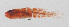  ( - PIL-228)  @11 [ ] CreativeCommons  Attribution Non-Commercial (by-nc) (2014) Unspecified Smithsonian Institution National Museum of Natural History