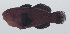  ( - PIL-264)  @11 [ ] CreativeCommons  Attribution Non-Commercial (by-nc) (2014) Unspecified Smithsonian Institution National Museum of Natural History