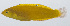  ( - PIL-278)  @11 [ ] CreativeCommons  Attribution Non-Commercial (by-nc) (2014) Unspecified Smithsonian Institution National Museum of Natural History
