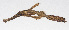 ( - PIL-294)  @11 [ ] CreativeCommons  Attribution Non-Commercial (by-nc) (2014) Unspecified Smithsonian Institution National Museum of Natural History