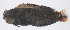  ( - PIL-384)  @11 [ ] CreativeCommons  Attribution Non-Commercial (by-nc) (2014) Unspecified Smithsonian Institution National Museum of Natural History