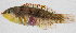  ( - PIL-396)  @11 [ ] CreativeCommons  Attribution Non-Commercial (by-nc) (2014) Unspecified Smithsonian Institution National Museum of Natural History
