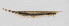  ( - PIL-448)  @11 [ ] CreativeCommons  Attribution Non-Commercial (by-nc) (2014) Unspecified Smithsonian Institution National Museum of Natural History