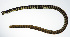  ( - PHISH-062)  @11 [ ] CreativeCommons  Attribution Non-Commercial (by-nc) (2016) Unspecified Smithsonian Institution National Museum of Natural History