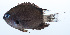  ( - PHISH-107)  @11 [ ] CreativeCommons  Attribution Non-Commercial (by-nc) (2016) Unspecified Smithsonian Institution National Museum of Natural History