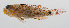  ( - PHISH-139)  @11 [ ] CreativeCommons  Attribution Non-Commercial (by-nc) (2016) Unspecified Smithsonian Institution National Museum of Natural History