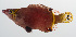  ( - PHISH-151)  @11 [ ] CreativeCommons  Attribution Non-Commercial (by-nc) (2016) Unspecified Smithsonian Institution National Museum of Natural History