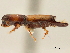  ( - CCDB-30438-A11)  @11 [ ] CreativeCommons - Attribution (2018) CBG Photography Group Smithsonian Institution