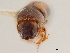  ( - CCDB-30438-B07)  @11 [ ] CreativeCommons - Attribution (2018) CBG Photography Group Smithsonian Institution