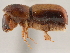  ( - CCDB-30438-B07)  @11 [ ] CreativeCommons - Attribution (2018) CBG Photography Group Smithsonian Institution