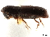  ( - CCDB-30438-B09)  @11 [ ] CreativeCommons - Attribution (2018) CBG Photography Group Smithsonian Institution