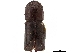  ( - CCDB-30438-C01)  @11 [ ] CreativeCommons - Attribution (2018) CBG Photography Group Smithsonian Institution