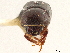  ( - CCDB-30438-C01)  @11 [ ] CreativeCommons - Attribution (2018) CBG Photography Group Smithsonian Institution